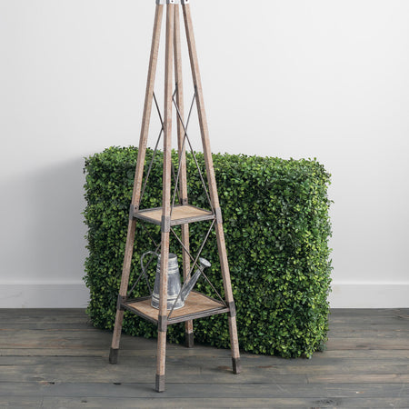 Boxwood Hedge