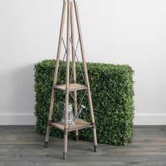 Boxwood Hedge