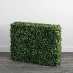 Boxwood Hedge