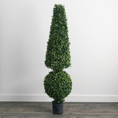 Boxwood Topiary