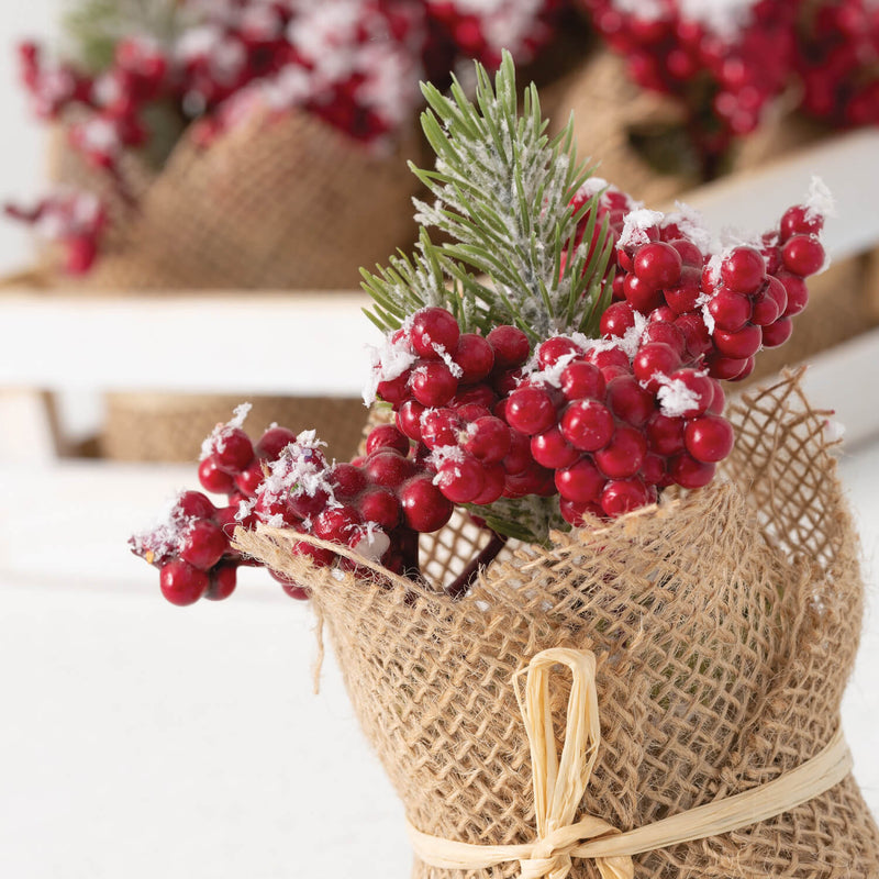 Berry Tray/6 Potted