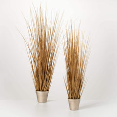 Gold Potted Onion Grass Set 2