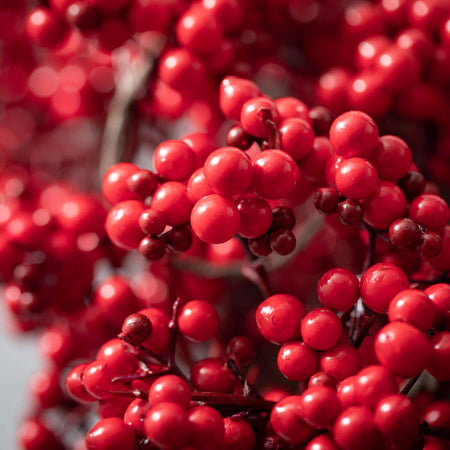 24" Red Berry Wreath