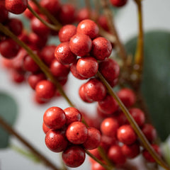 Red Berry & Green Leaf Stem