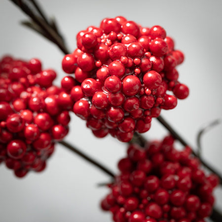 Red Mini Berry Cluster Spray