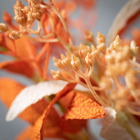Fall Seed Spray Set Of 2