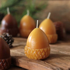 Scented Acorn Candle Set Of 2