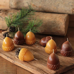 Scented Acorn Candle Set Of 2