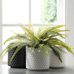 Polka Dot Textured Planters, Set Of 3