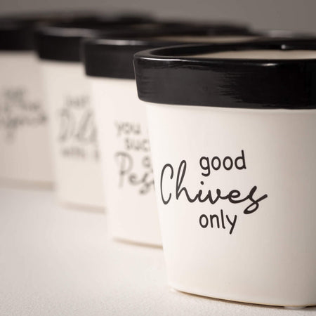 Whimsy Text Planter Set Of 4