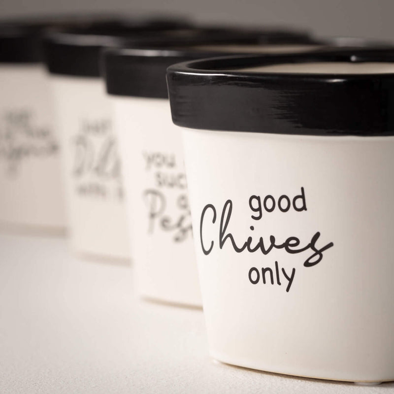 Whimsy Text Planter Set Of 4