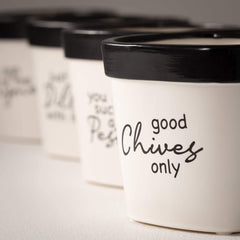 Whimsy Text Planter Set Of 4