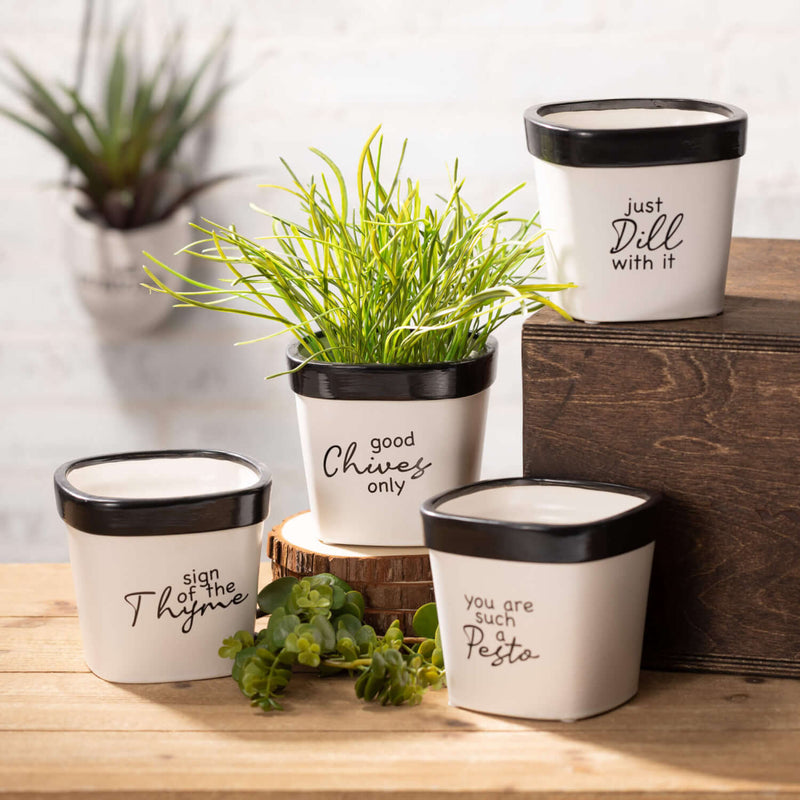 Whimsy Text Planter Set Of 4