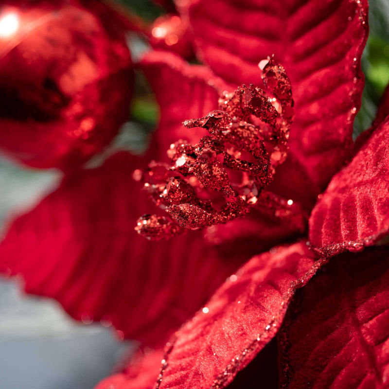 6.5" Poinsettia And Pine Ring