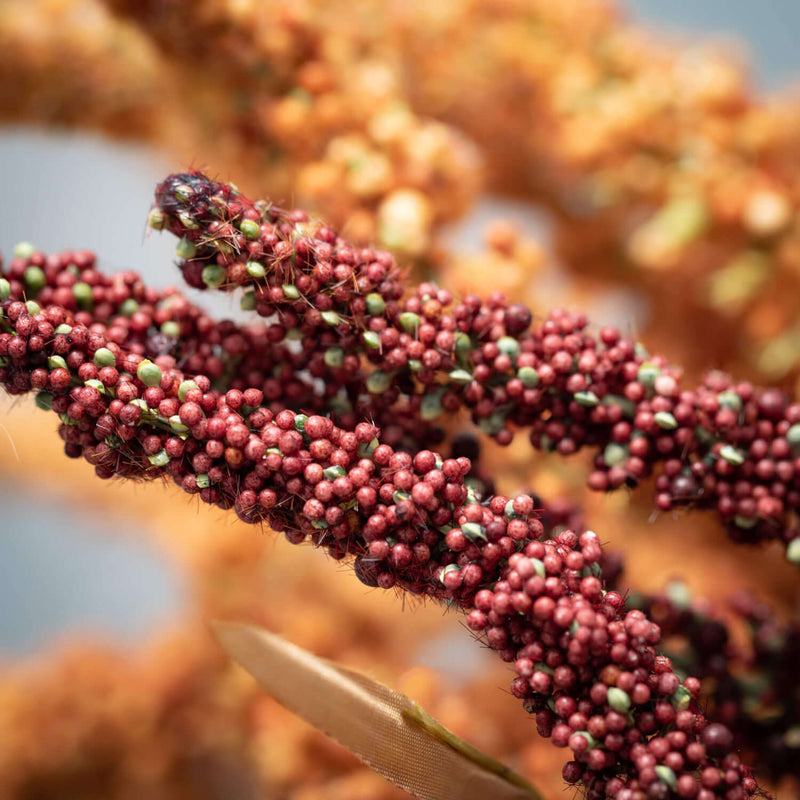 Faux Dried Fall Millet Sprays