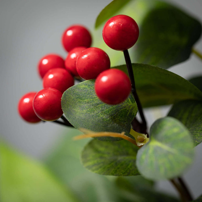 Eucalyptus Leaf Berry Pick