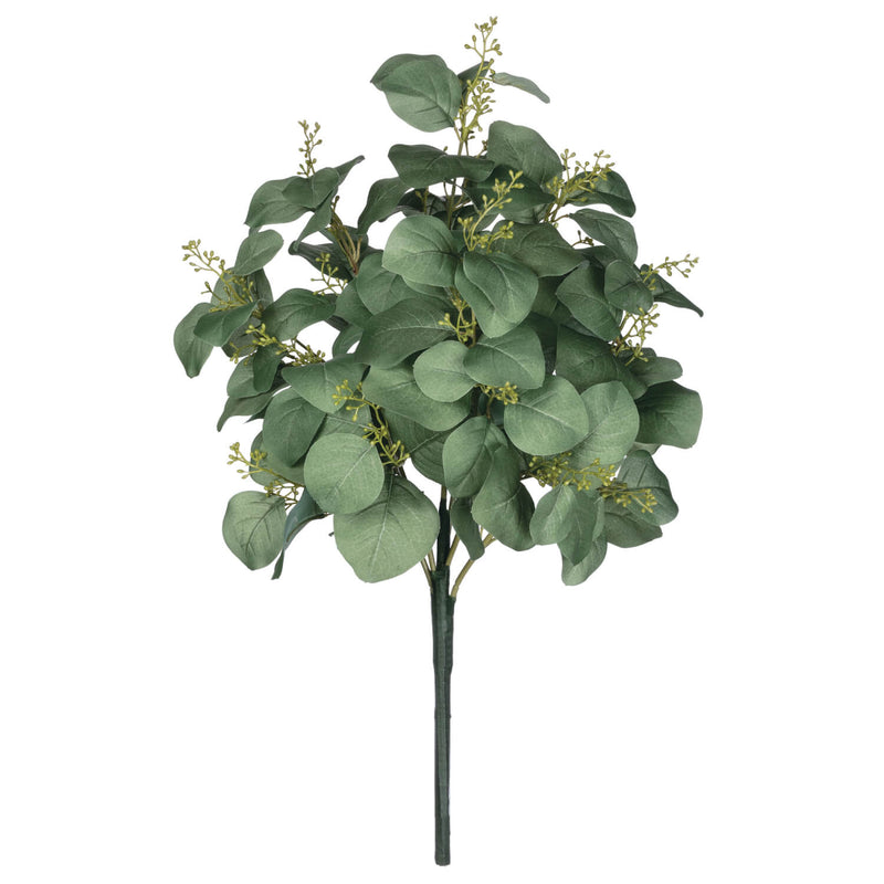 Eucalyptus Bush