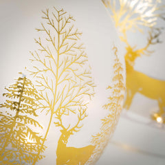 Lighted Dome Set/2