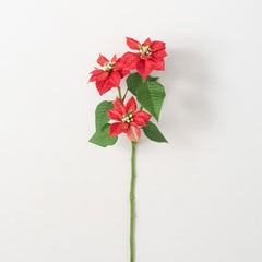 Fuchsia Poinsettia Stem