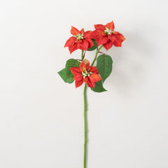 Red Poinsettia Stem