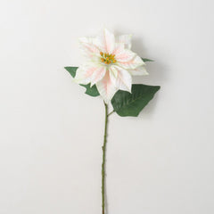 White Pink Poinsettia Stem