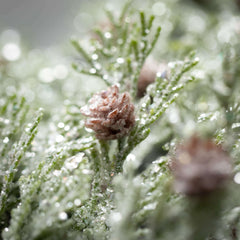 Frosted Cedar Garland