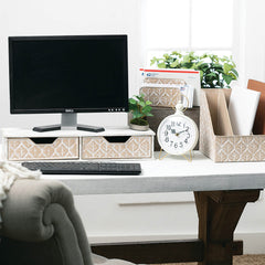 Refined industrial Monitor Riser with Storage