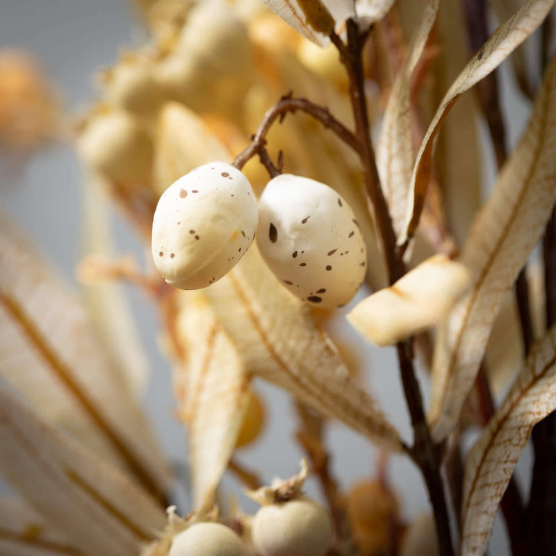 Atlantic Olive Leaf Pick