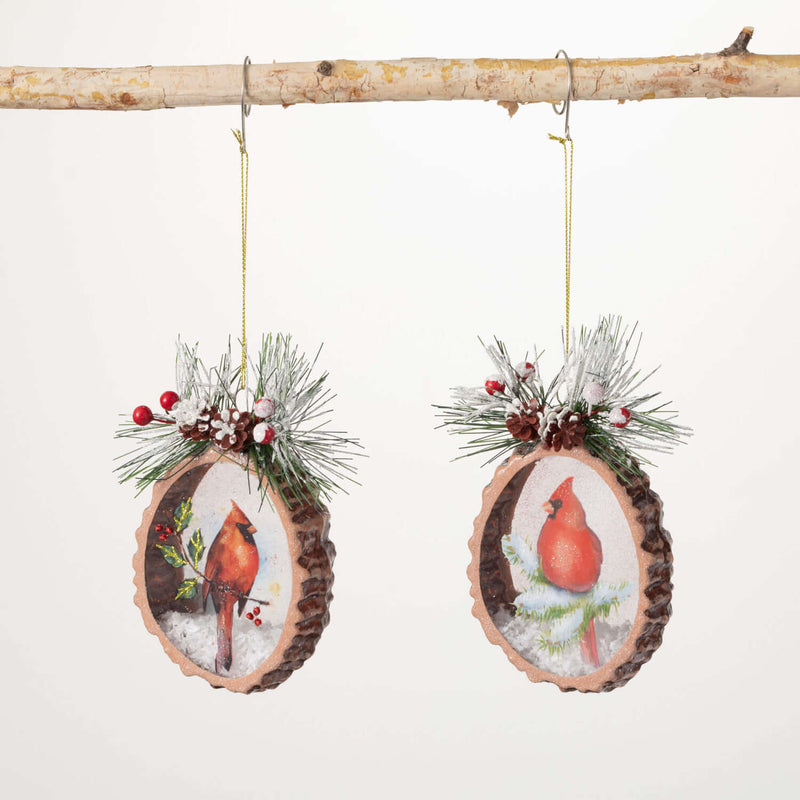 Cardinal Disc Ornament Set 2