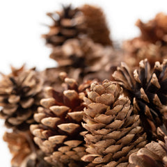 Large Pinecone Wreath