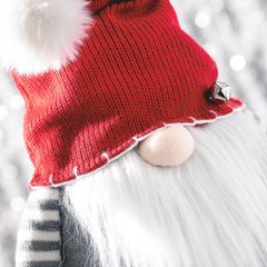 Standing Telescopic Christmas Gnome Set