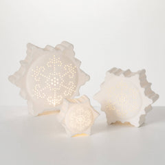 Illuminated Snowflake & Timer
