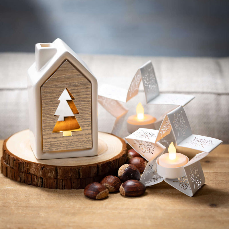 Holiday Lighted House Set Of 2