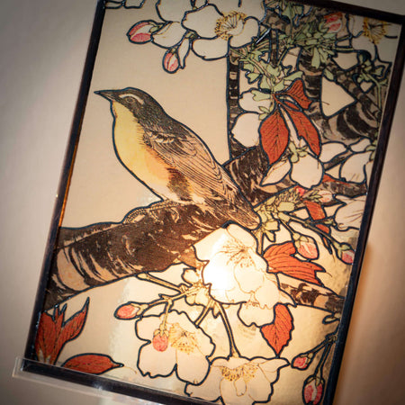 Bird Blossom Nightlight