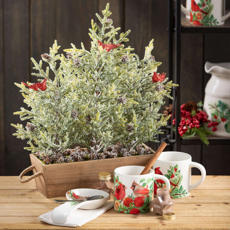 Cardinal Mug Set Of 4