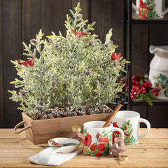 Cardinal Mug Set Of 4