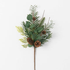 Pine, Eucalyptus & Pinecone Stem