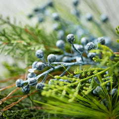 Juniper Pick