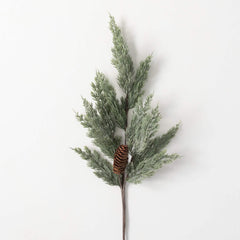 Long Pine Spray