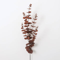 Dark Brown Eucalytpus Fall Stem