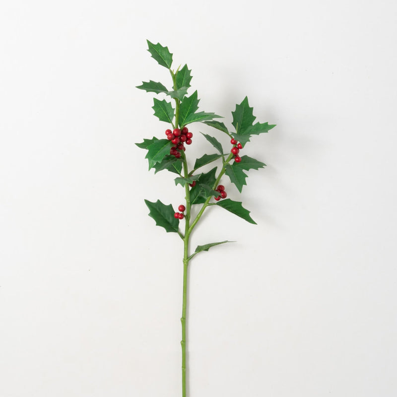 Green Holly & Red Berry Stem