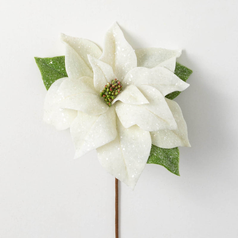 White Poinsettia Stem