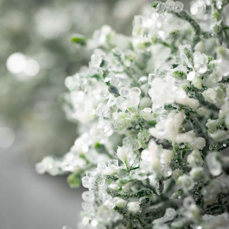 Frosted Queen Anne'S Lace Stem