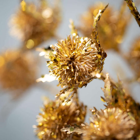 Shiny Gold Echinop Thistle