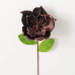 Brown Velvet Magnolia Stem