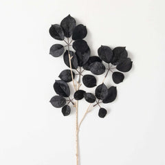 Black Schefflera Spray