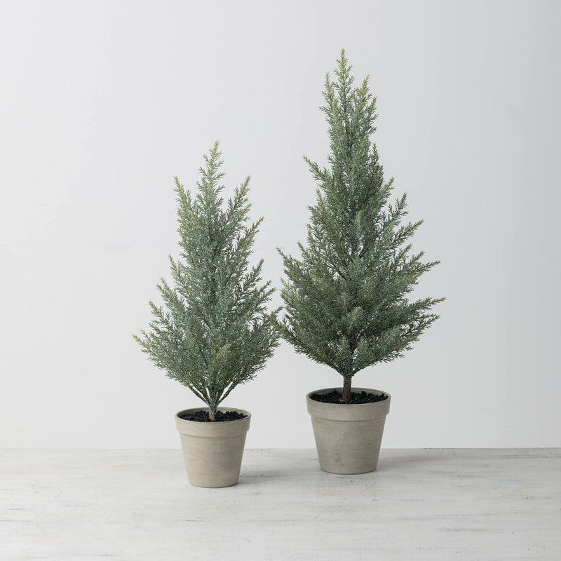 Lightly Frosted Mini Potted Cedar Pine Tree Set