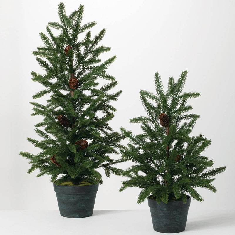 Pinecone Pine Tree Set Of 2