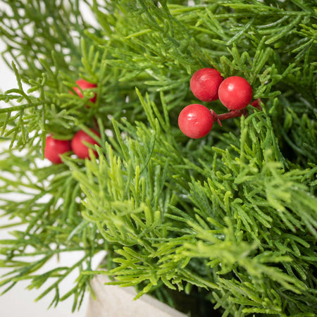 Potted Cedar & Red Berry Tree