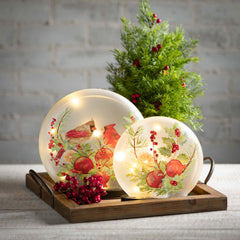 Potted Cedar & Red Berry Tree